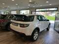 Land Rover Discovery Sport Discovery Sport 2.2 td4 HSE Luxury awd 150cv auto Blanco - thumbnail 4