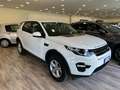 Land Rover Discovery Sport Discovery Sport 2.2 td4 HSE Luxury awd 150cv auto Blanco - thumbnail 2