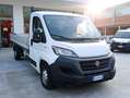 Fiat DUCATO CASSONE FISSO Blanc - thumbnail 3
