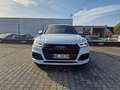 Audi Q5 50 TDIquattro+3x S Line Sport+PANO+KAMERA+AHK Weiß - thumbnail 7
