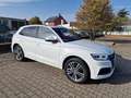 Audi Q5 50 TDIquattro+3x S Line Sport+PANO+KAMERA+AHK Weiß - thumbnail 1