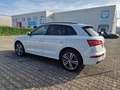 Audi Q5 50 TDIquattro+3x S Line Sport+PANO+KAMERA+AHK Weiß - thumbnail 3