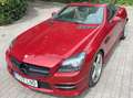 Mercedes-Benz SLK 250 SLK 250 CDI BE AMG Line 7G Plus AMG Line Rot - thumbnail 6
