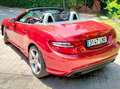 Mercedes-Benz SLK 250 SLK 250 CDI BE AMG Line 7G Plus AMG Line Rot - thumbnail 7