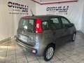 Fiat Panda 1.0 FireFly S&S Hybrid EASY Grigio - thumbnail 4