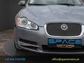 Jaguar XF 2,7 V6 Diesel Premium Luxury Grau - thumbnail 4
