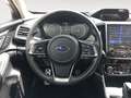 Subaru Forester 2.0i Hybrid Executive Plus CVT Blanco - thumbnail 7