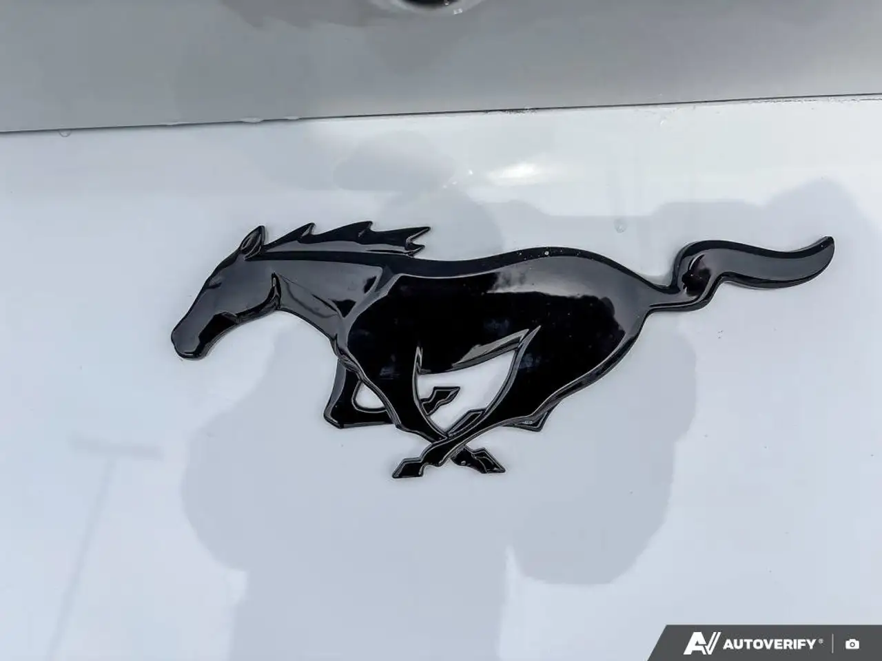 Ford Mustang снимка Ford Mustang