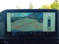 Ford Transit Custom 320 L1H1 LKW VA Trend Gris - thumbnail 20