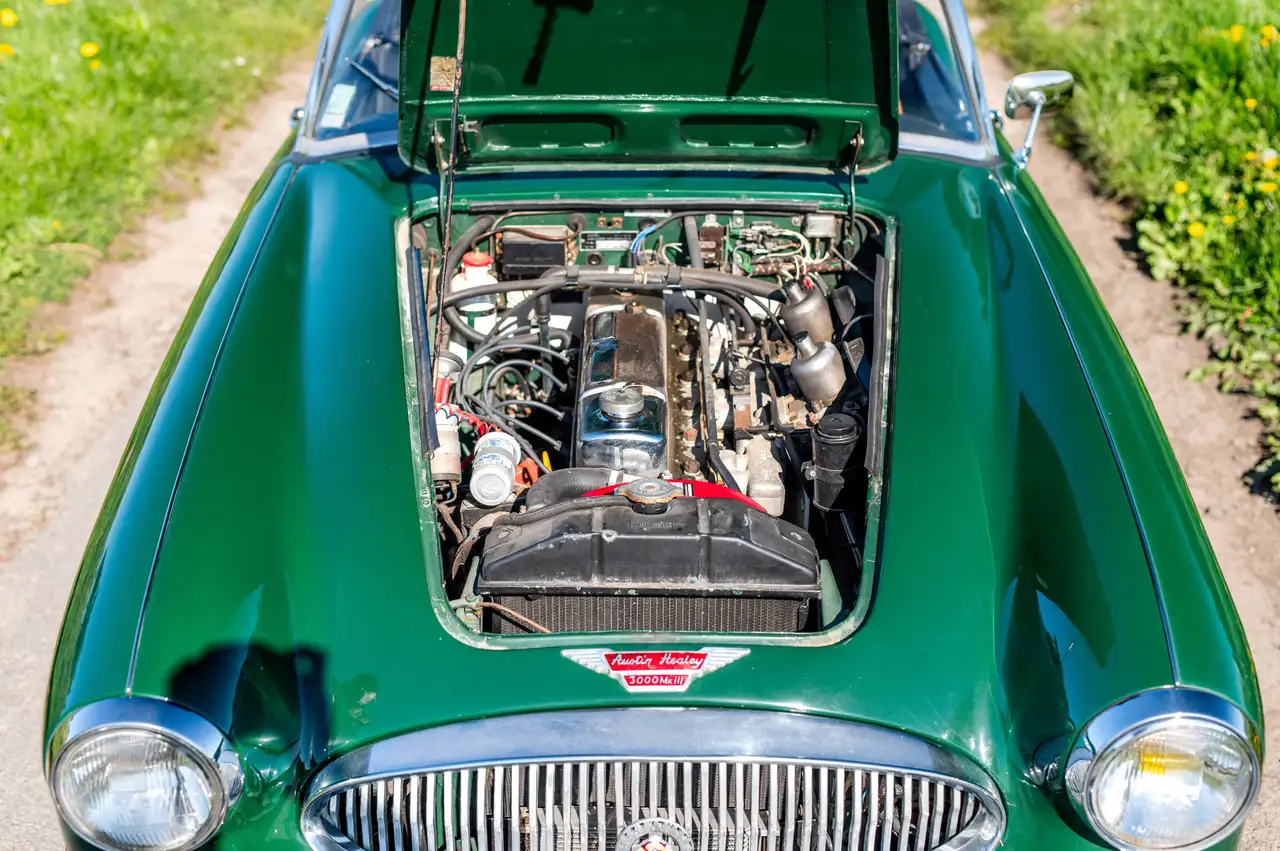 Austin-Healey 3000 MARK III BJ8, foto 5