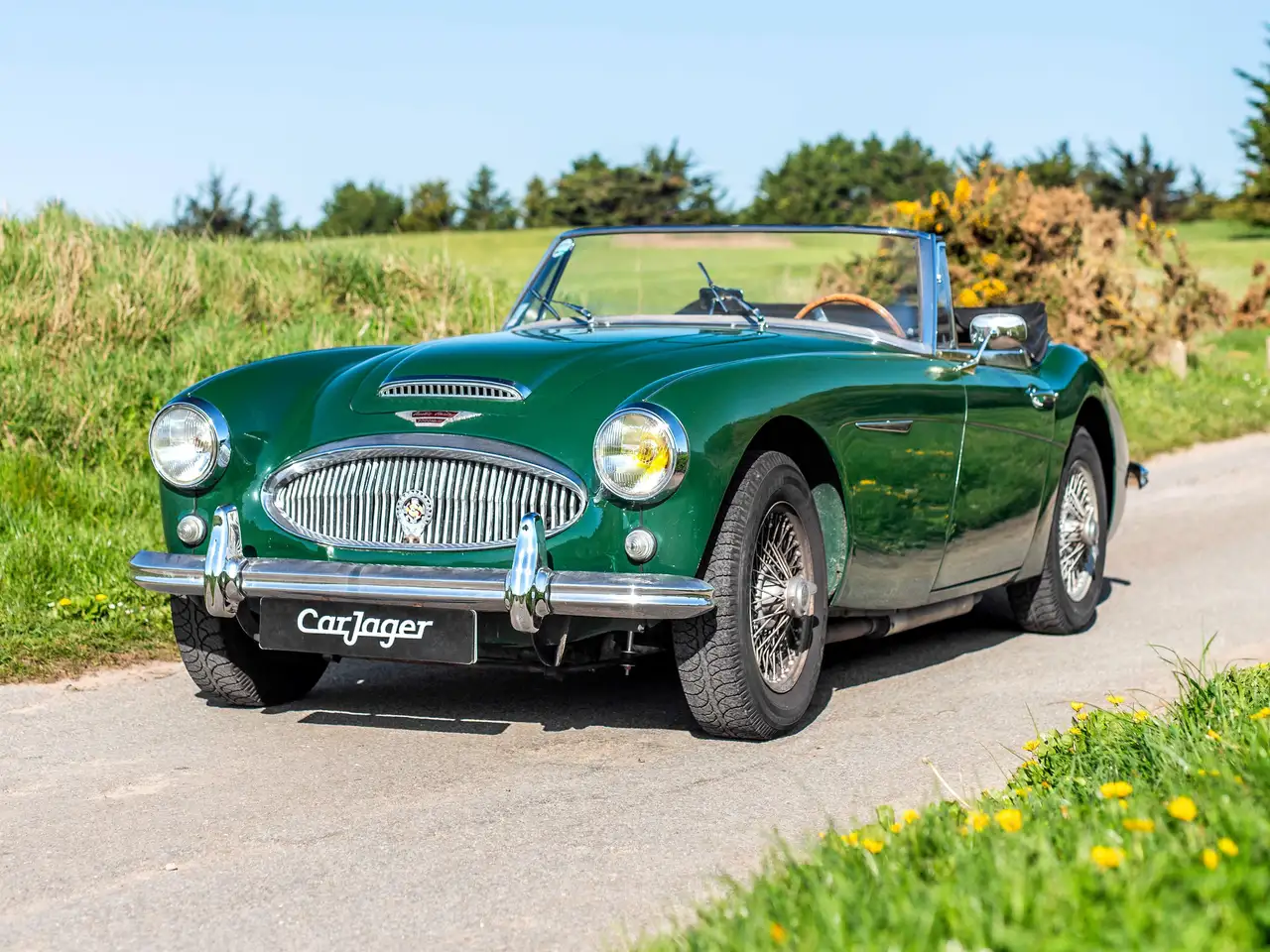 Austin-Healey 3000 MARK III BJ8, foto 8