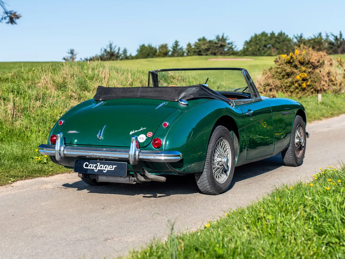 Austin-Healey 3000 MARK III BJ8 Vert - 2