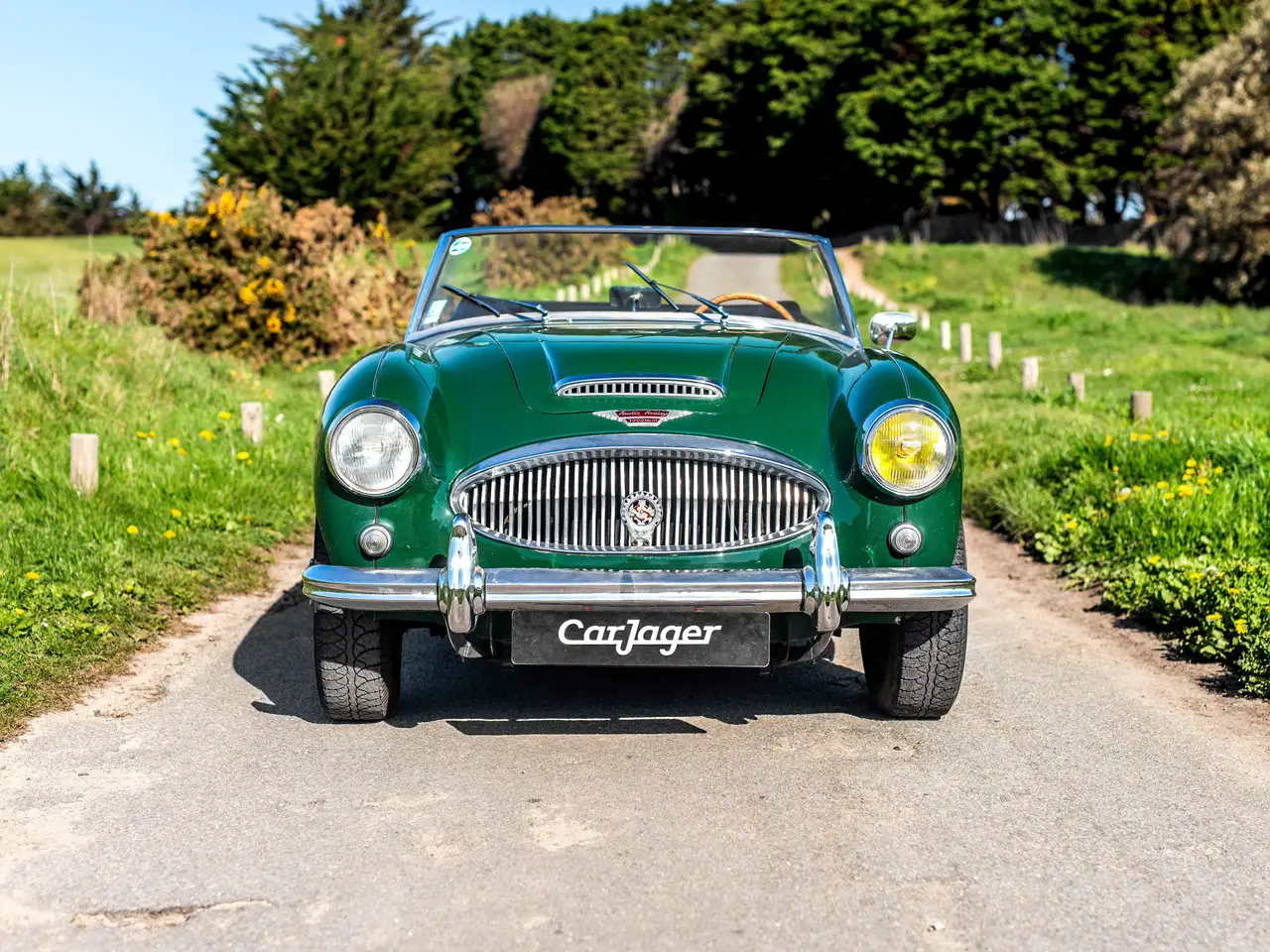 Austin-Healey 3000 MARK III BJ8, foto 6