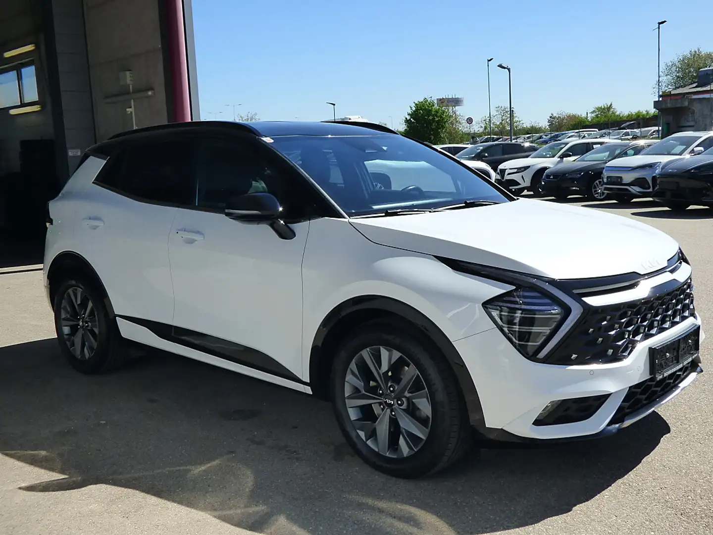 Kia Sportage 1,6 CRDI 48V Launch Edition Pro AWD DCT Weiß - 2