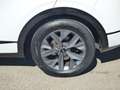 Kia Sportage 1,6 CRDI 48V Launch Edition Pro AWD DCT Weiß - thumbnail 5