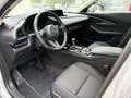 Mazda CX-30 2.5L G140PS 6AT 2WD Exclusive- Line Grau - thumbnail 13