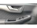 Ford Kuga Plug-In Hybrid Titanium X 2.5  LED-SW Winterräder Grau - thumbnail 12