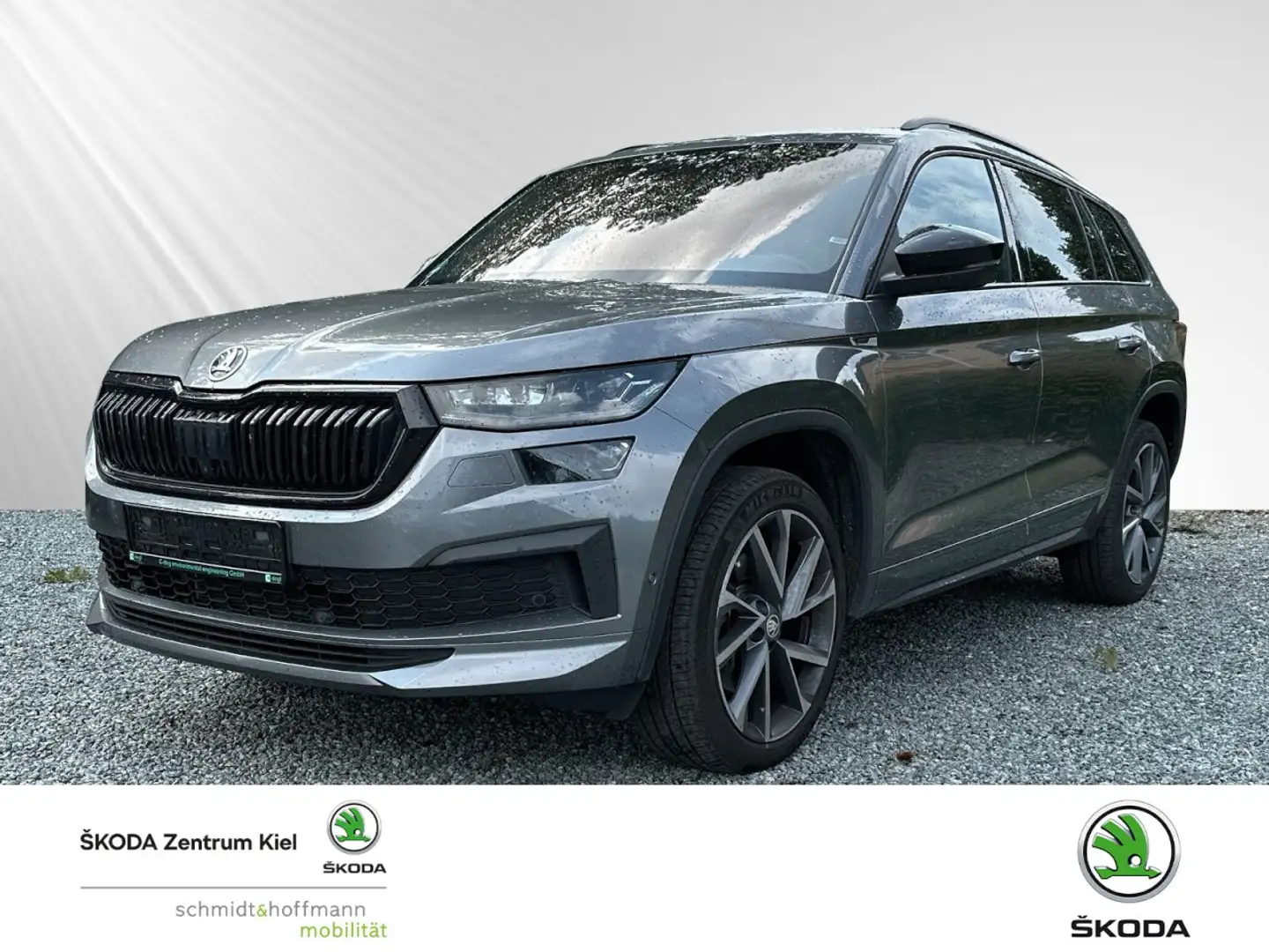 Skoda Kodiaq 2.0 TDI Sportline 4x4 (EURO 6d) Klima Navi Gris - 1
