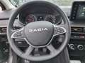 Dacia Sandero Stepway 1.0 tce Expression 110cv Grey - thumbnail 13