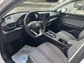 SEAT Leon SP 2.0 TDI DSG - thumbnail 10