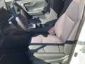 Toyota RAV 4 RAV4 2,5 Hybrid Active Drive 2WD Aut. Weiß - thumbnail 6