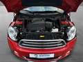 MINI Cooper D Countryman 1.6 All4 #XEN #NAV #PANO Rot - thumbnail 18