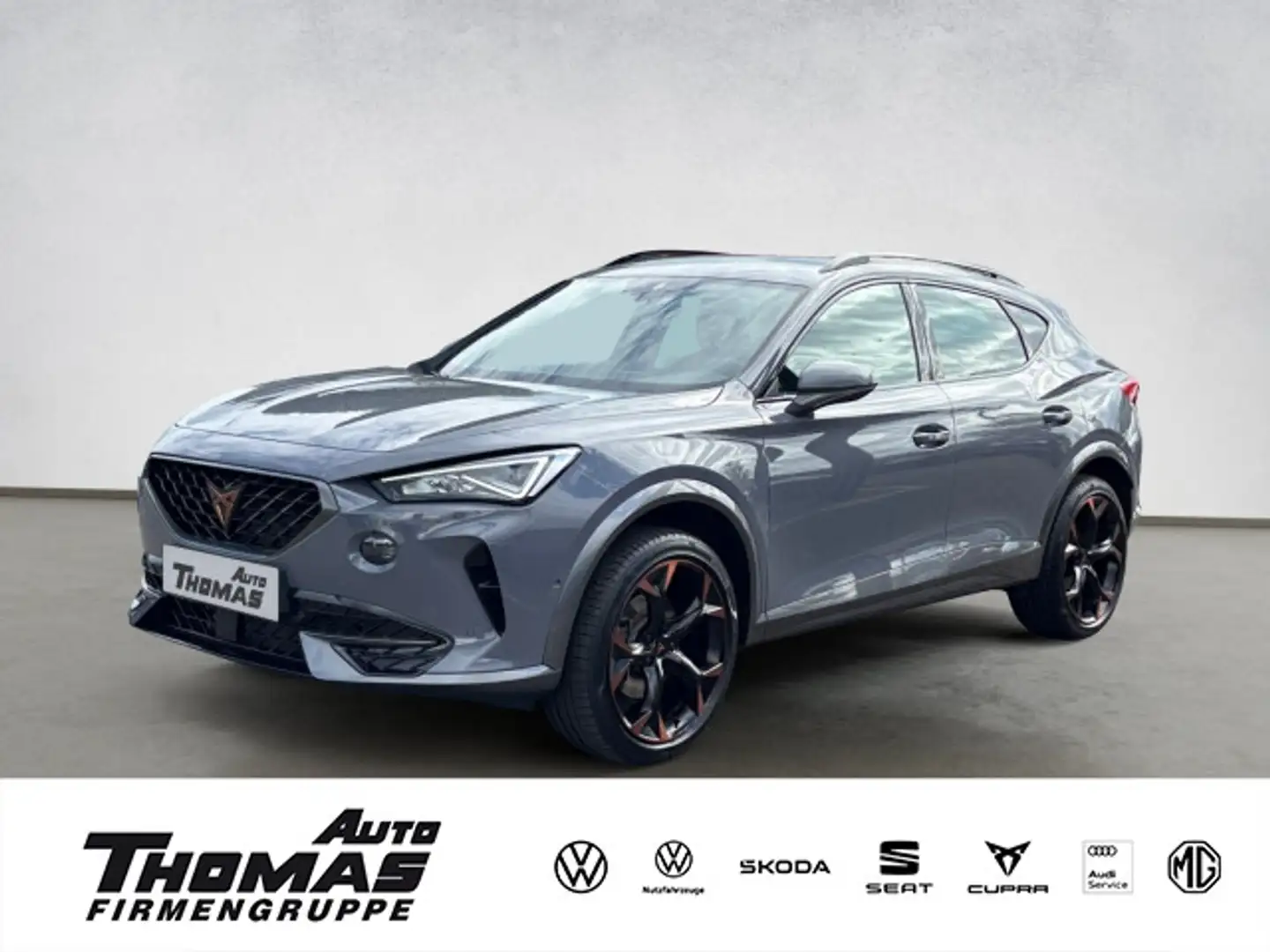 CUPRA Formentor 2.0TDI DSG AHK Grigio - 1