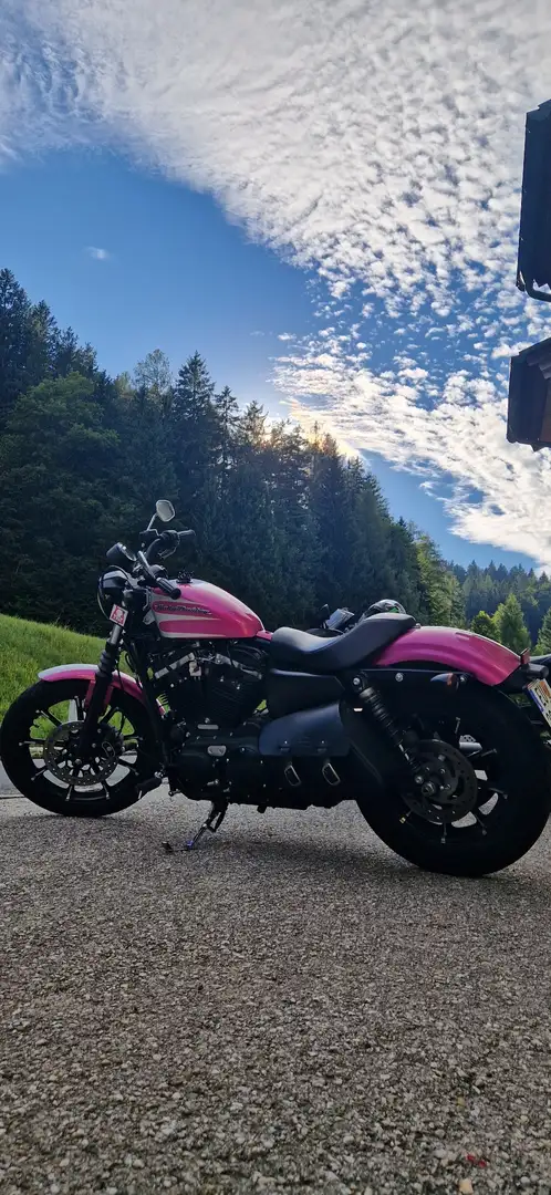Harley-Davidson Iron 883 Sportster Silber - 1