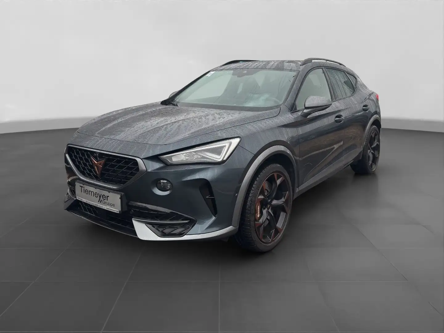 CUPRA Formentor 2.0 TSI DSG VZ LEDER BREMBO PANO AHK Grau - 2