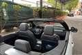 Land Rover Range Rover Evoque Cabrio 2.0 td4 HSE Dynamic 150cv auto Blanc - thumbnail 3