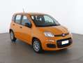 Fiat Panda 1.0 70CV Firefly HYBRID S&S Orange - thumbnail 7