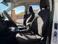 Ford Kuga 2.0 Hybrid 150 CV 2WD Titanium (NESSUN VINCOLO) Blanc - thumbnail 11