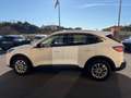 Ford Kuga 2.0 Hybrid 150 CV 2WD Titanium (NESSUN VINCOLO) Blanc - thumbnail 15