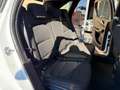 Ford Kuga 2.0 Hybrid 150 CV 2WD Titanium (NESSUN VINCOLO) Blanc - thumbnail 7