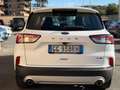 Ford Kuga 2.0 Hybrid 150 CV 2WD Titanium (NESSUN VINCOLO) Blanc - thumbnail 5