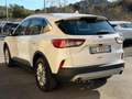 Ford Kuga 2.0 Hybrid 150 CV 2WD Titanium (NESSUN VINCOLO) Blanc - thumbnail 4