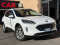 Ford Kuga 2.0 Hybrid 150 CV 2WD Titanium (NESSUN VINCOLO) Blanc - thumbnail 1