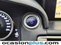 Lexus IS 300 300h Luxury Safety (Ébano Marrón) Blau - thumbnail 33