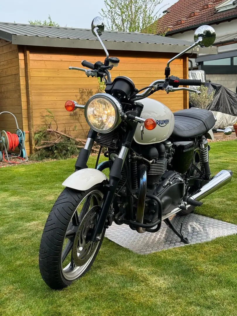 Triumph Bonneville T100 Weiß - 2