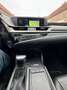 Lexus ES 300 ES 300 300h Luxury Line Grau - thumbnail 9