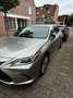 Lexus ES 300 ES 300 300h Luxury Line Grau - thumbnail 2