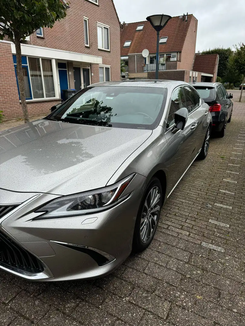 Lexus ES 300 ES 300 300h Luxury Line Grau - 2