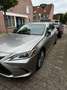 Lexus ES 300 ES 300 300h Luxury Line Grau - thumbnail 8