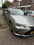 Lexus ES 300 ES 300 300h Luxury Line Grau - thumbnail 1