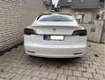 Tesla Model 3 Standard mit Sommer und Winterreifensatz + AHK Weiß - thumbnail 3