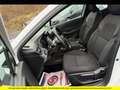 Renault Clio Clio Blue dCi 100 - 21N Business Blanc - thumbnail 10