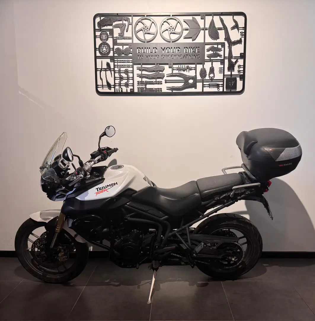 Triumph Tiger 800 - 2