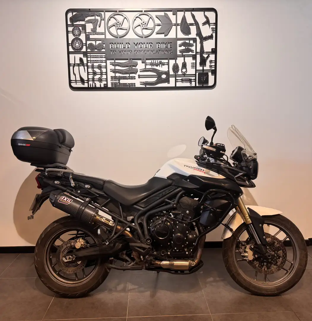 Triumph Tiger 800 - 1