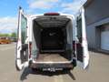 Ford Transit Kasten 350 L3H2 Trend Klima PDC Tempomat Weiß - thumbnail 12