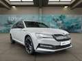Skoda Superb Combi iV 1.4 Sportline *PANORAMA*CANTON* Grijs - thumbnail 5
